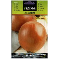 Early Bulb Onion Temp Primos