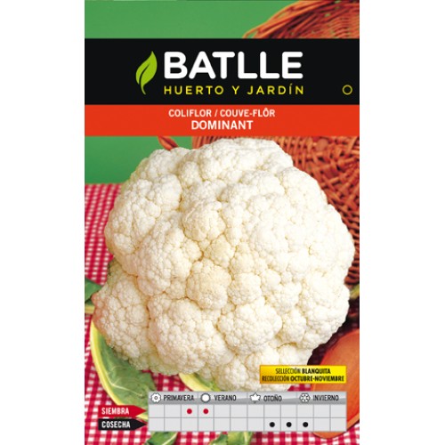 Coliflor Dominant Blanquita de Alta Calidad