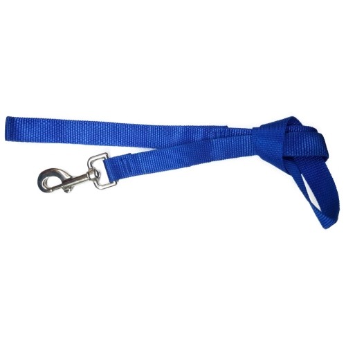 Nylon Leash Blue 20x110 Durable