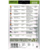 Flat Leaf Parsley 2 Pack Culinary Herb