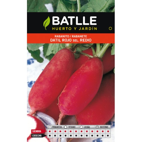 Rabanito Datil Rojo Sel.redio - Fácil de Cultivar y Nutritivo