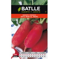 Radish Date Red Sel.redio - Easy to Grow and Nutritious