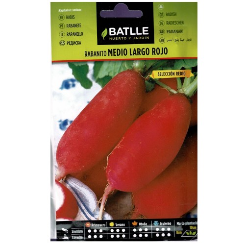 Radish Date Red Sel.redio - Easy to Grow and Nutritious