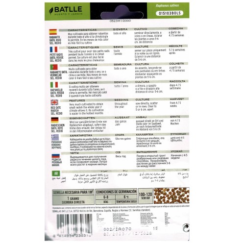 Radish Date Red Sel.redio - Easy to Grow and Nutritious