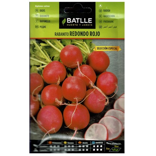 Rabanito Redondo Selección Especial