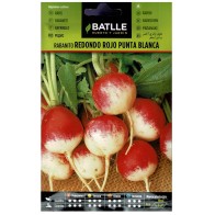 Round Red Radish White Tip Packet