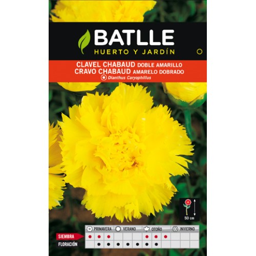 Clavel Chabaud Doble Amarillo Sobre para Jardines