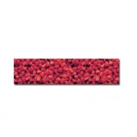 Grava Roja 5 Kg para Acuarios y Jardines