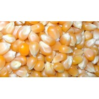 Prodac Corn 5 Kg for Pets