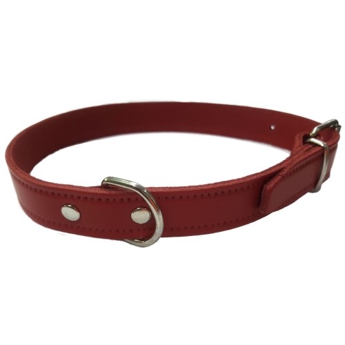 Collar de Cuero Liso Negro 55x2.5cm