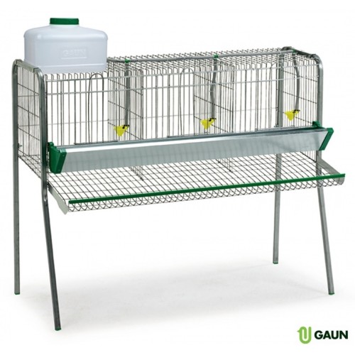 Batería de Gallinas 3 Departamentos Eficiente