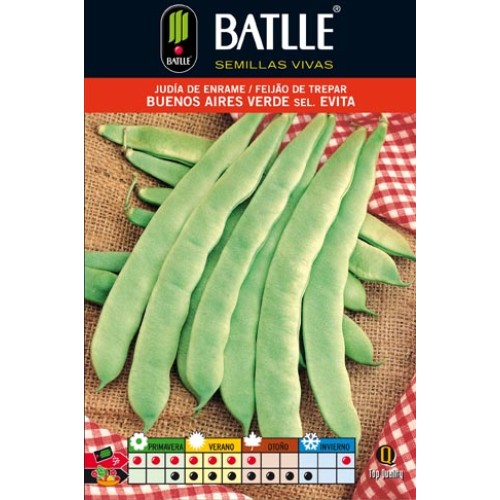Green Bean Buenos Aires Ver.s.evita 100g