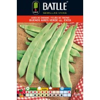 Green Bean Buenos Aires Ver.s.evita 100g