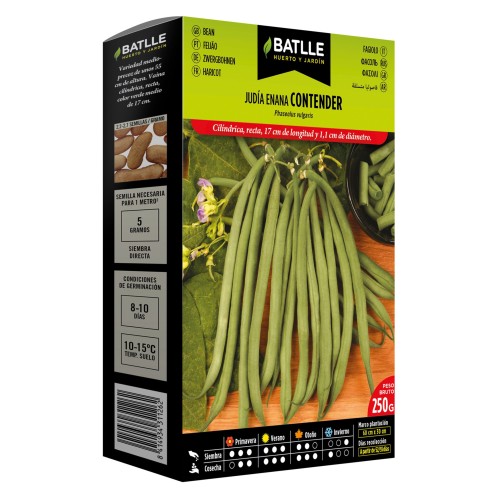 Dwarf Bean Contender 250 Gr.