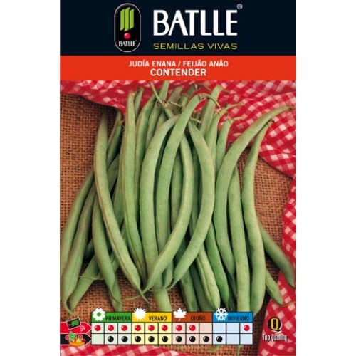 Dwarf Bean Contender 1 Kg High Quality
