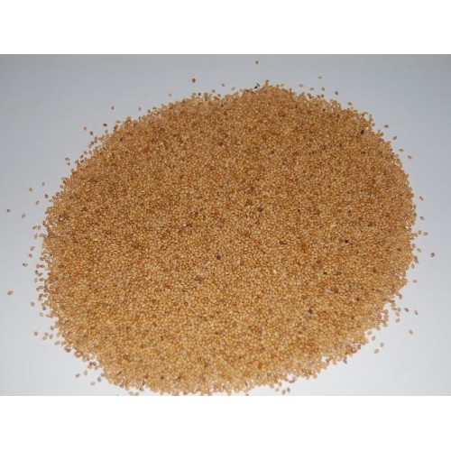 Semilla de Panizo para Aves Exóticas 25 Kg