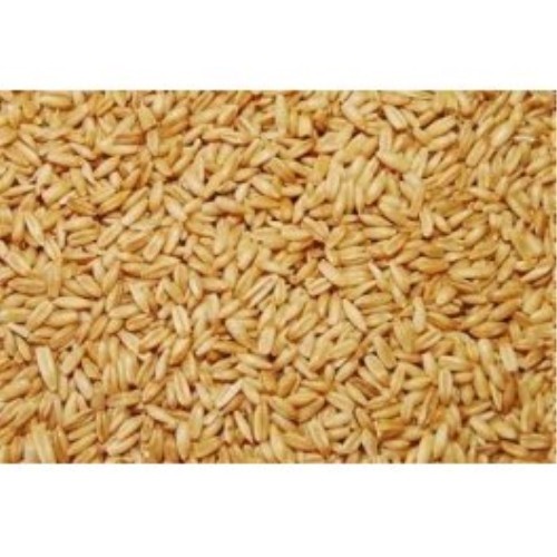 Avena Pelada Vinci 5 Kg Nutrición de Calidad