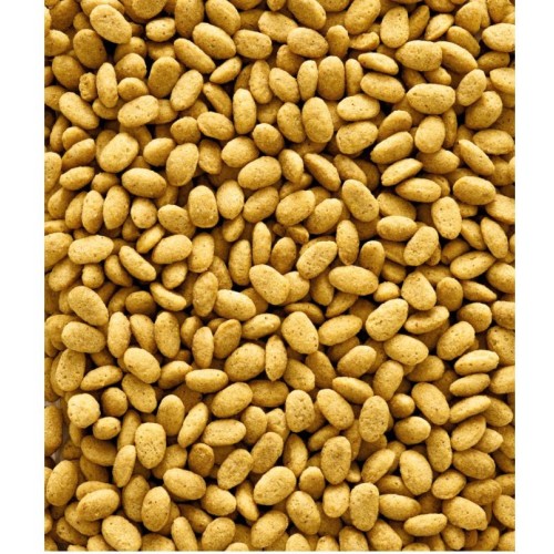 Nutribird P19 Original Cría 10 Kg