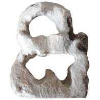 Rock with Two Holes for Pet Habitat