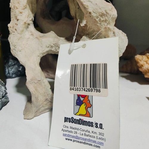 Rock with Two Holes for Pet Habitat