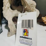 Rock with Two Holes for Pet Habitat