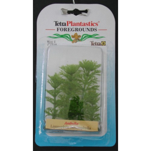 Planta Ambulia Foreground 5 Cm