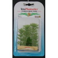 Planta Ambulia Foreground 5 Cm