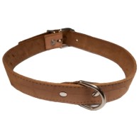 Collar de Piel Verde para Perros