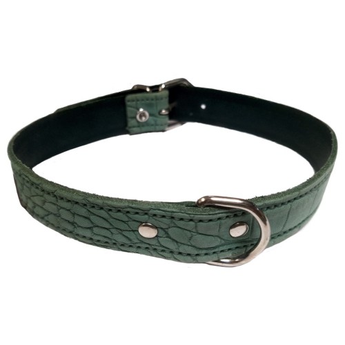 Collar de Piel Verde para Perros