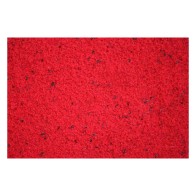 Raff Holland Rosso 300gr. Alimento de Cría para Canarios