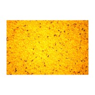 Pasta de Cría Raff Holland 300g