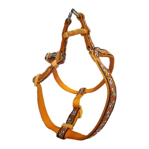 Orange Harness and Bully Set