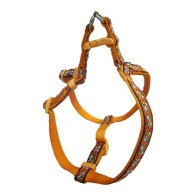 Conjunto de Arnés y Bully Naranja