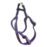 Orange Harness and Bully Set