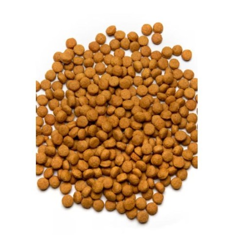Psittacus High Energy Feed 800g