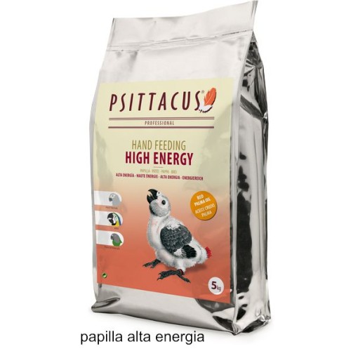 Psittacus Papilla Alta Energía