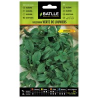 Valerian Herb from Louviers