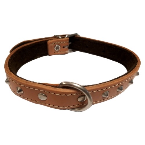 Collar con Adorno 20x450 Tosta
