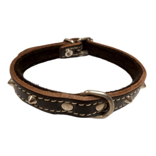 Collar Decorativo Rojo para Perros