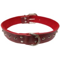 Collar Decorativo Rojo para Perros