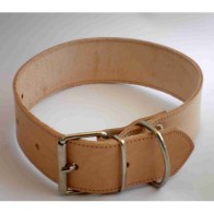 Collar Cuero Vaqueta Doble 65x3cm