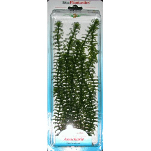 Planta Anacharis Plus 20-25 Cm