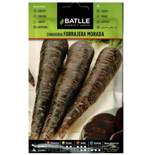 Purple Forage Carrot Seeds
