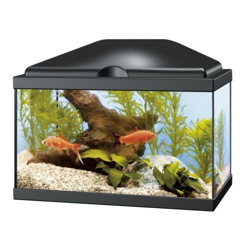 Aqua 20 LED Black Aquarium for Fish