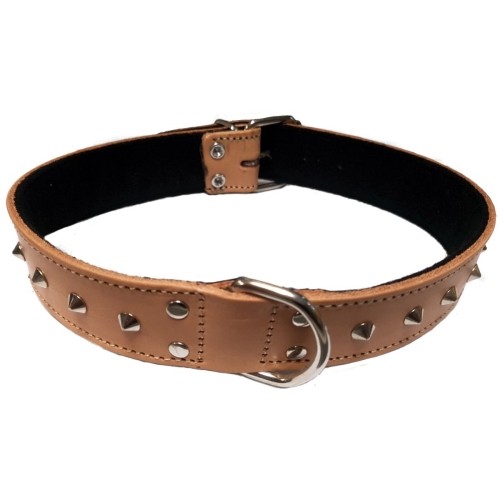 Decorative Dog Collar Brown 12x300mm