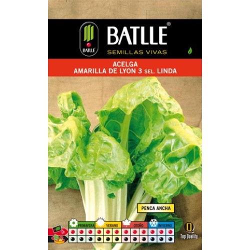 Yellow Swiss Chard Seeds - Lyon