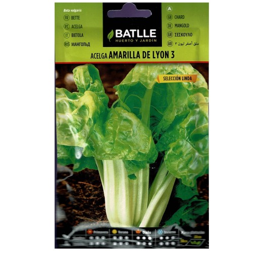 Yellow Swiss Chard Seeds - Lyon