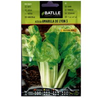 Yellow Swiss Chard Seeds - Lyon