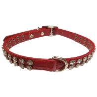 Collar Shiny Negro 12x350 - Estiloso y Funcional