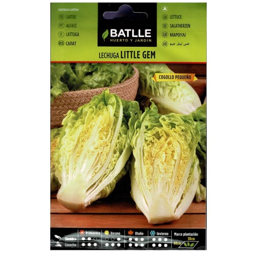 Lechuga Little Gem Cogollo